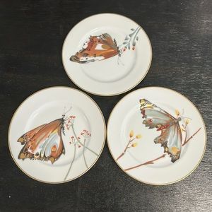 Salad Plate
Cho Cho
by FITZ & FLOYD